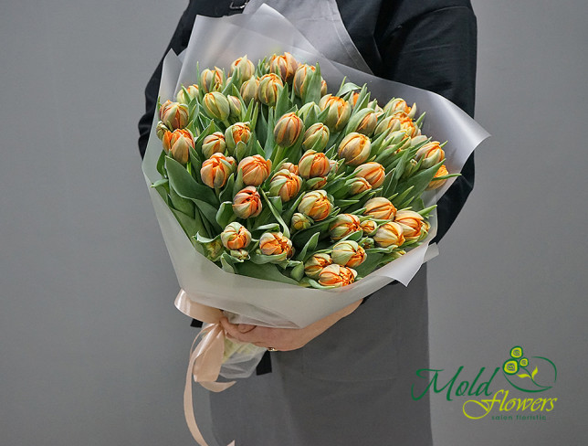 Lalele olandeze de tip bujor culoarea portocaliu foto